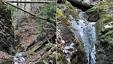 Divoká roklina na Branisku