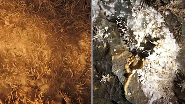 Ochtinská aragonitová jaskyňa je unikátnou