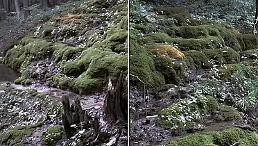 Pancierovské prameniská vytvárajú prírodný skvost