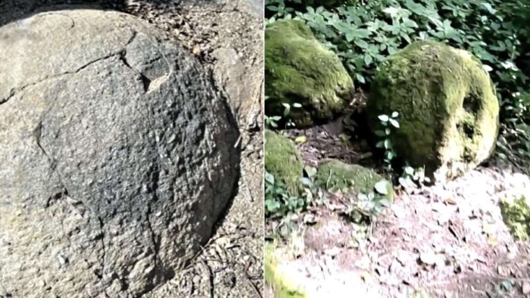 Kamenné gule sú vo svete ojedinelá geologická rarita. Na Slovensku máme tri takéto lokality.