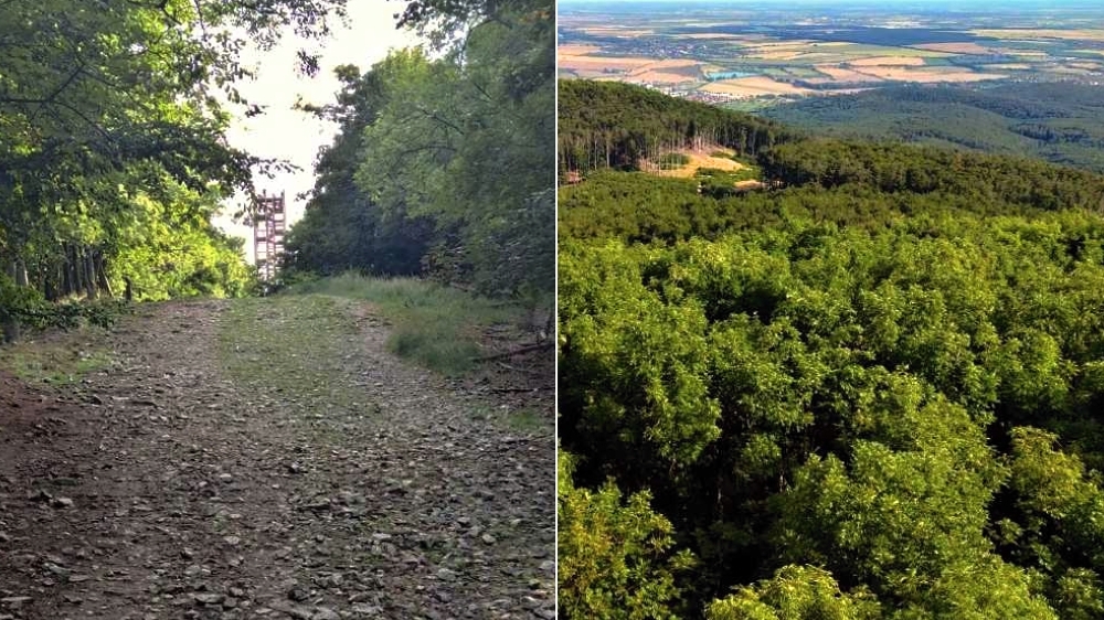 Veľká Homola s rozhľadňou