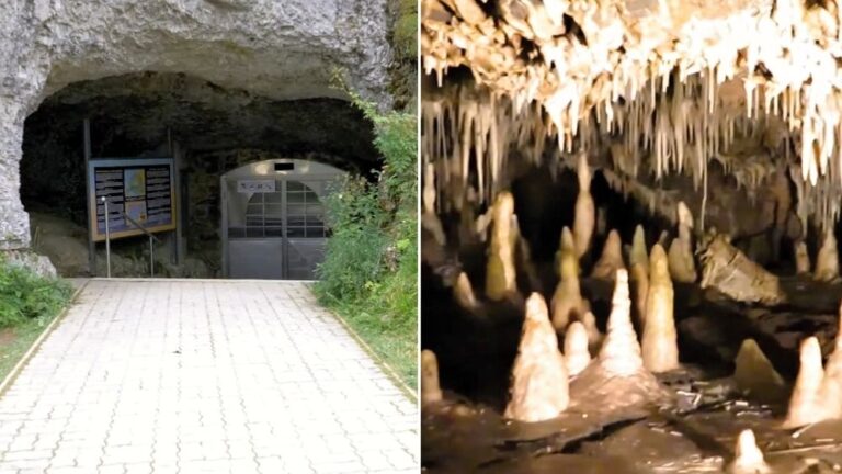Jaskyňa na hornom Liptove je významnou biospeleologickou lokalitou európskeho významu.
