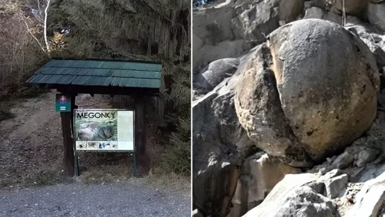 Kamenné gule na Kysuciach sú geologická rarita.